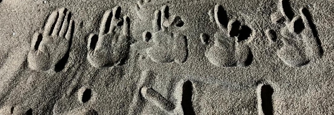 Kathak dance pose in motion